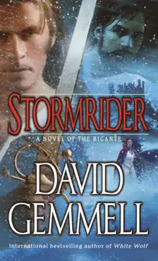 stormrider book cover image