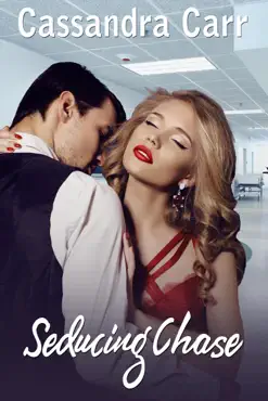 seducing chase book cover image