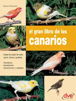 el gran libro de los canarios book cover image