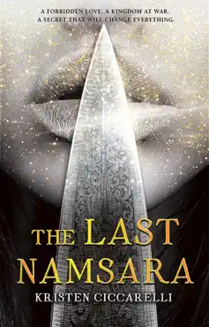 the last namsara book cover image