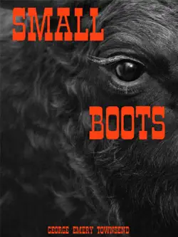 small boots book cover image