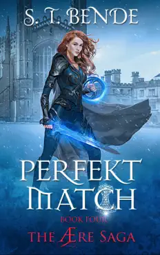 perfekt match (the Ære saga book 4) book cover image