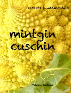 mintgin_cuschin book cover image