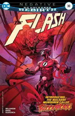 the flash (2016-) #30 book cover image