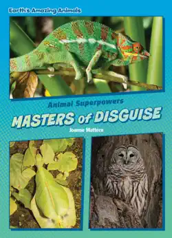 masters of disguise book cover image