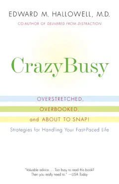 crazybusy book cover image