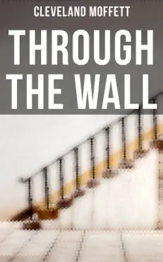 through the wall book cover image
