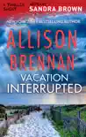 Vacation Interrupted synopsis, comments
