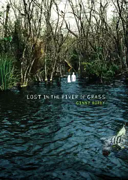 lost in the river of grass book cover image