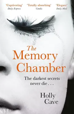 the memory chamber imagen de la portada del libro