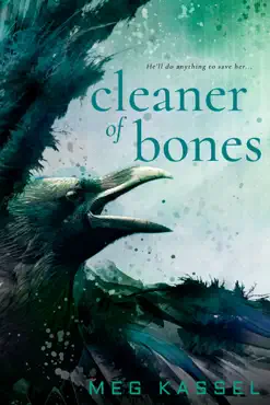 cleaner of bones book cover image