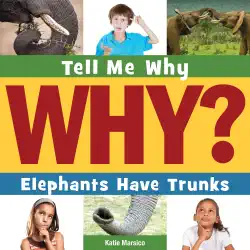 elephants have trunks book cover image