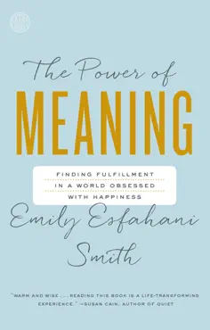 the power of meaning book cover image