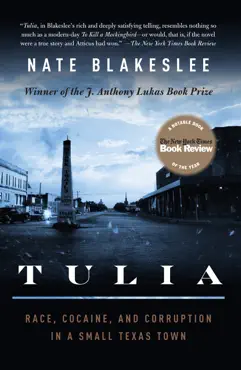 tulia book cover image