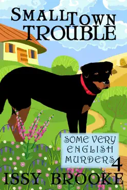 small town trouble book cover image