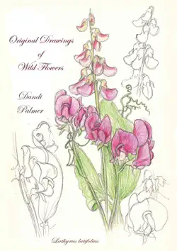 original drawings of wild flowers book cover image