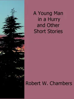 a young man in a hurry and other short stories book cover image