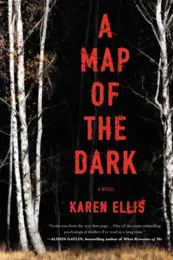 a map of the dark book cover image