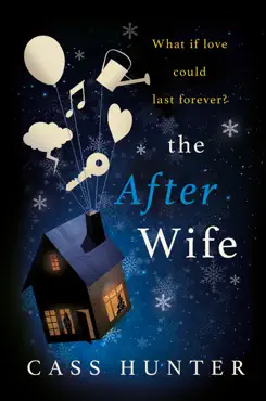 the after wife book cover image