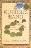 A Curious Land synopsis, comments