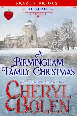 a birmingham family christmas book cover image