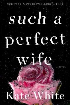 such a perfect wife book cover image