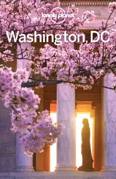 washington dc travel guide book cover image