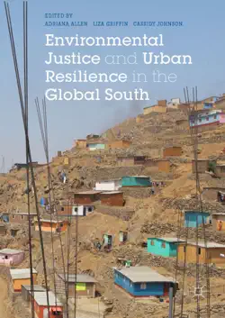 environmental justice and urban resilience in the global south book cover image