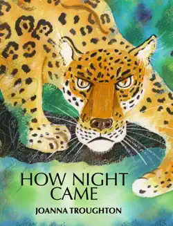 how night came book cover image