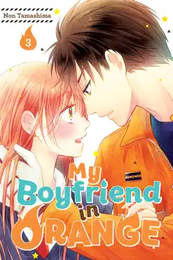 my boyfriend in orange volume 3 book cover image