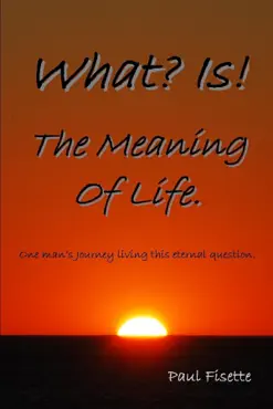 what is! the meaning of life. book cover image