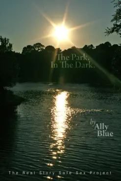 in the park, in the dark book cover image