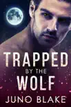 Trapped by the Wolf synopsis, comments