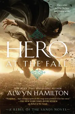 hero at the fall book cover image