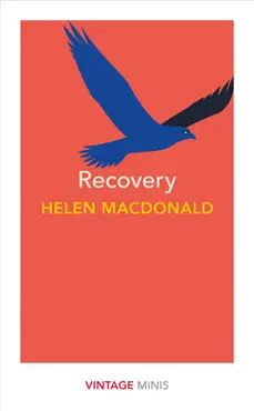recovery imagen de la portada del libro
