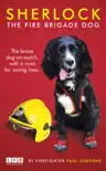 Sherlock: The Fire Brigade Dog sinopsis y comentarios