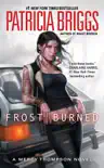 Frost Burned synopsis, comments