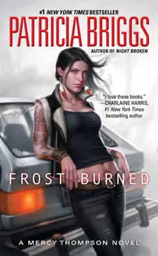 frost burned book cover image