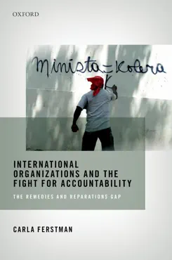 international organizations and the fight for accountability book cover image