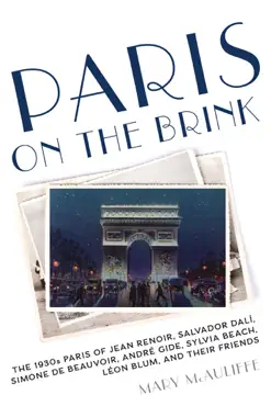 paris on the brink book cover image