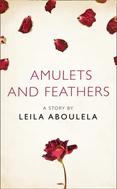 amulets and feathers book cover image