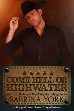come hell or high water book cover image