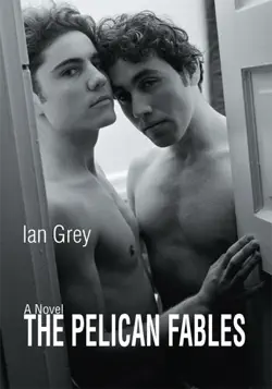 the pelican fables book cover image