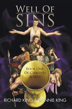 well of sins book cover image