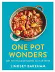One Pot Wonders synopsis, comments