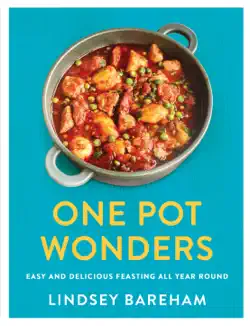 one pot wonders book cover image