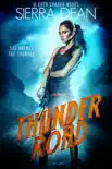 Thunder Road synopsis, comments