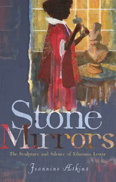 stone mirrors book cover image