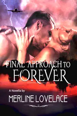 final approach...to forever book cover image