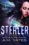 Stealer synopsis, comments